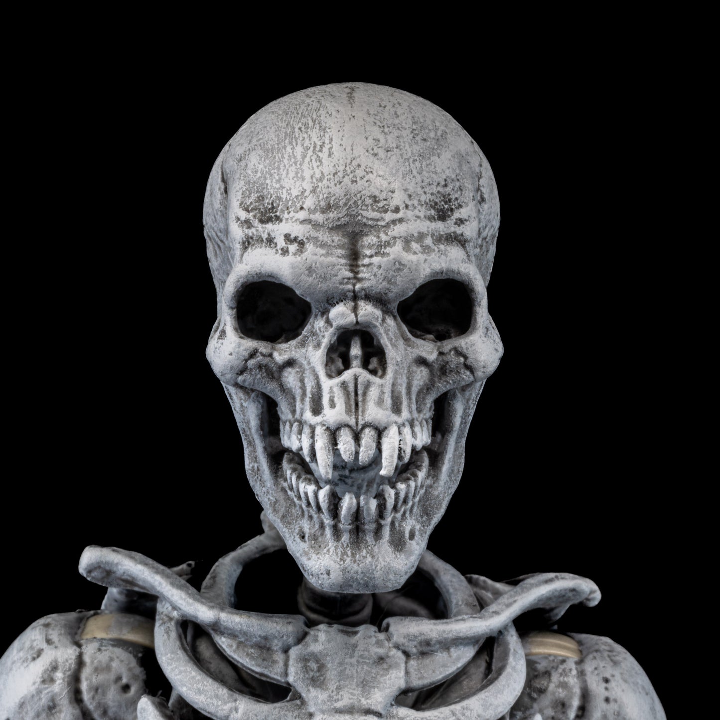 Mythic Legions - Graveyard Skeletons