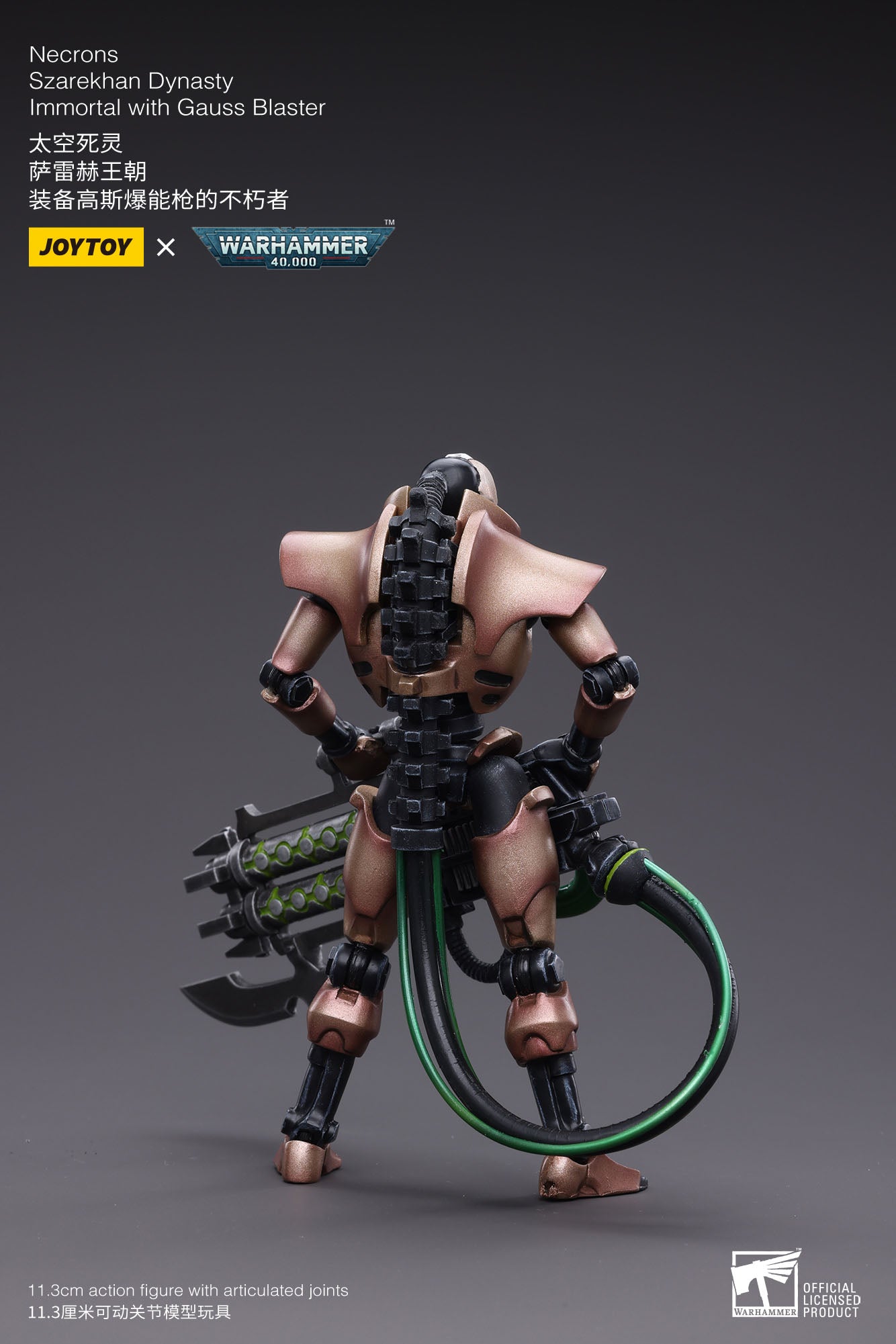 Warhammer 2er-Pack Necrons Szarekhan Dynasty Immortal with Gauss Blaster