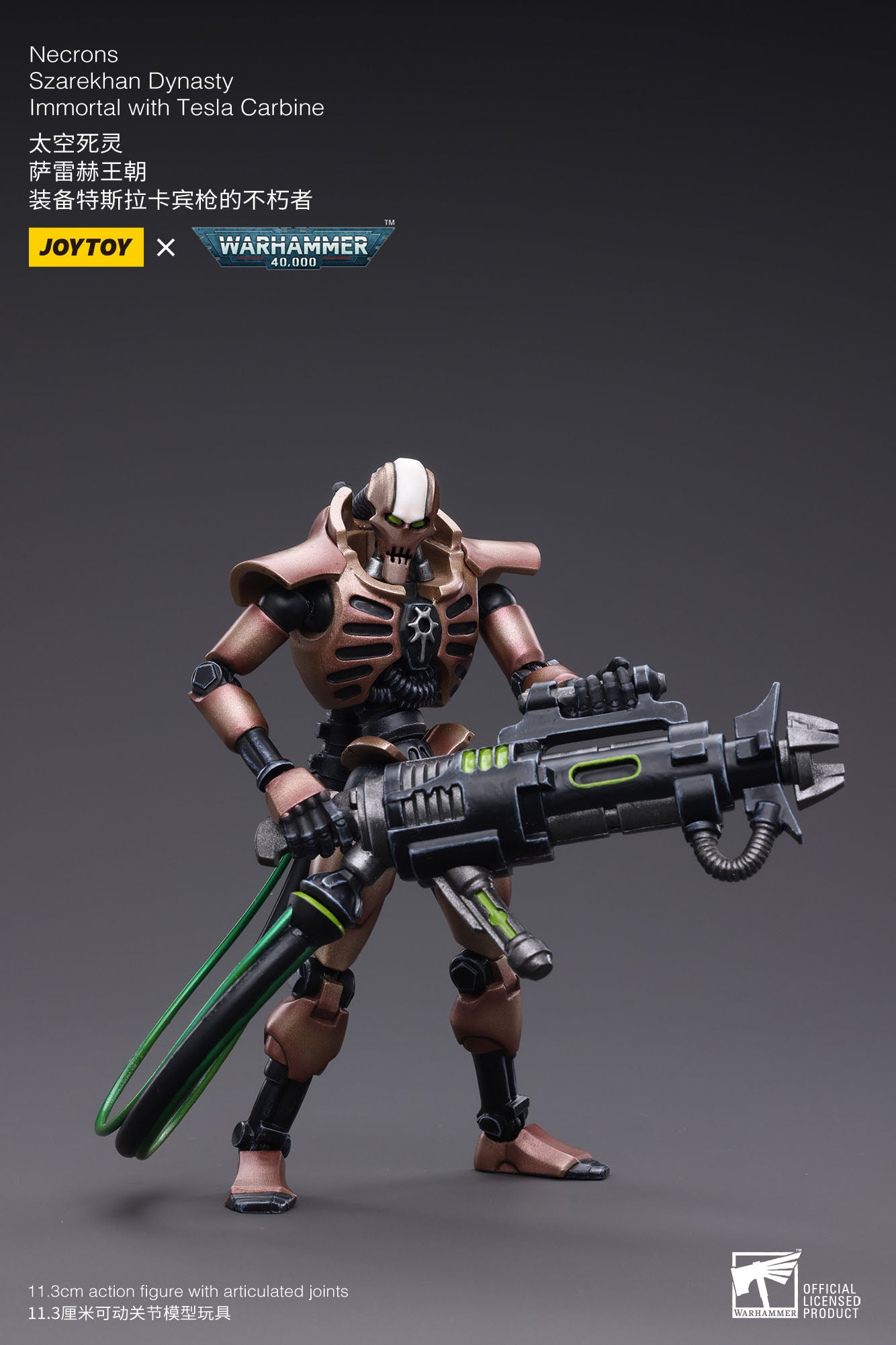 Warhammer 2er-Pack Necrons Szarekhan Dynasty Immortal with Tesla Carbine