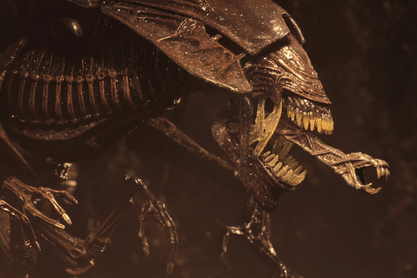 Aliens Alien Queen Ressurection