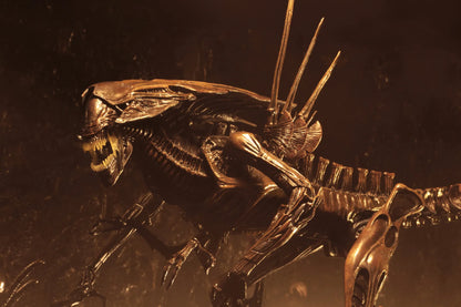 Aliens Alien Queen Ressurection