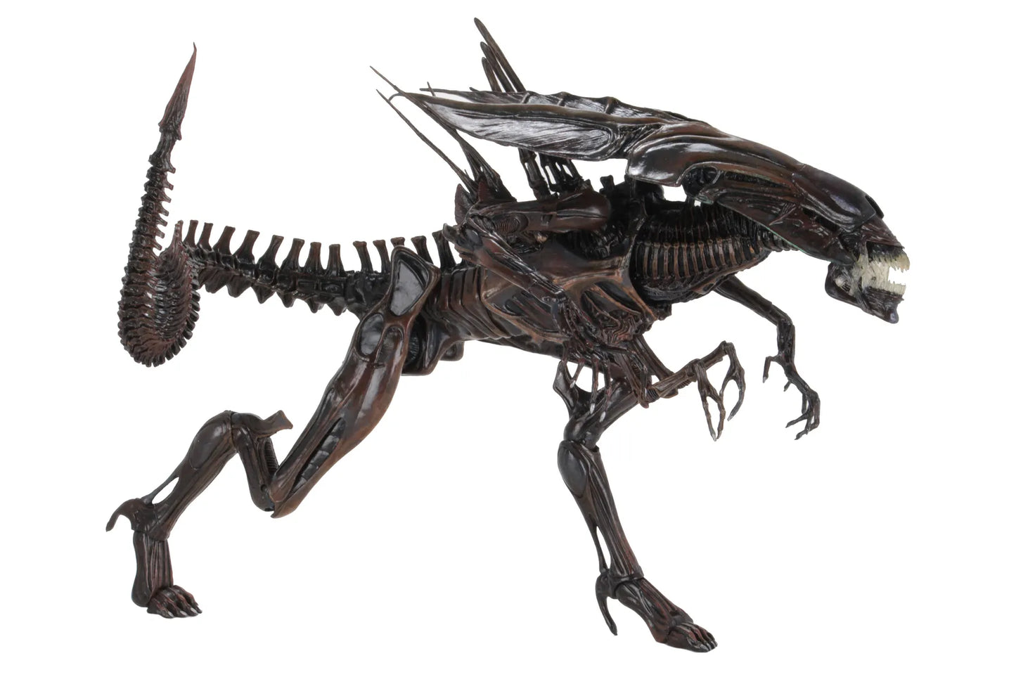 Aliens Alien Queen Ressurection