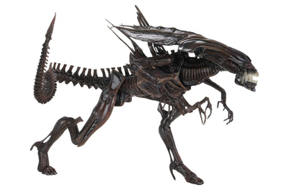 Aliens Alien Queen Ressurection