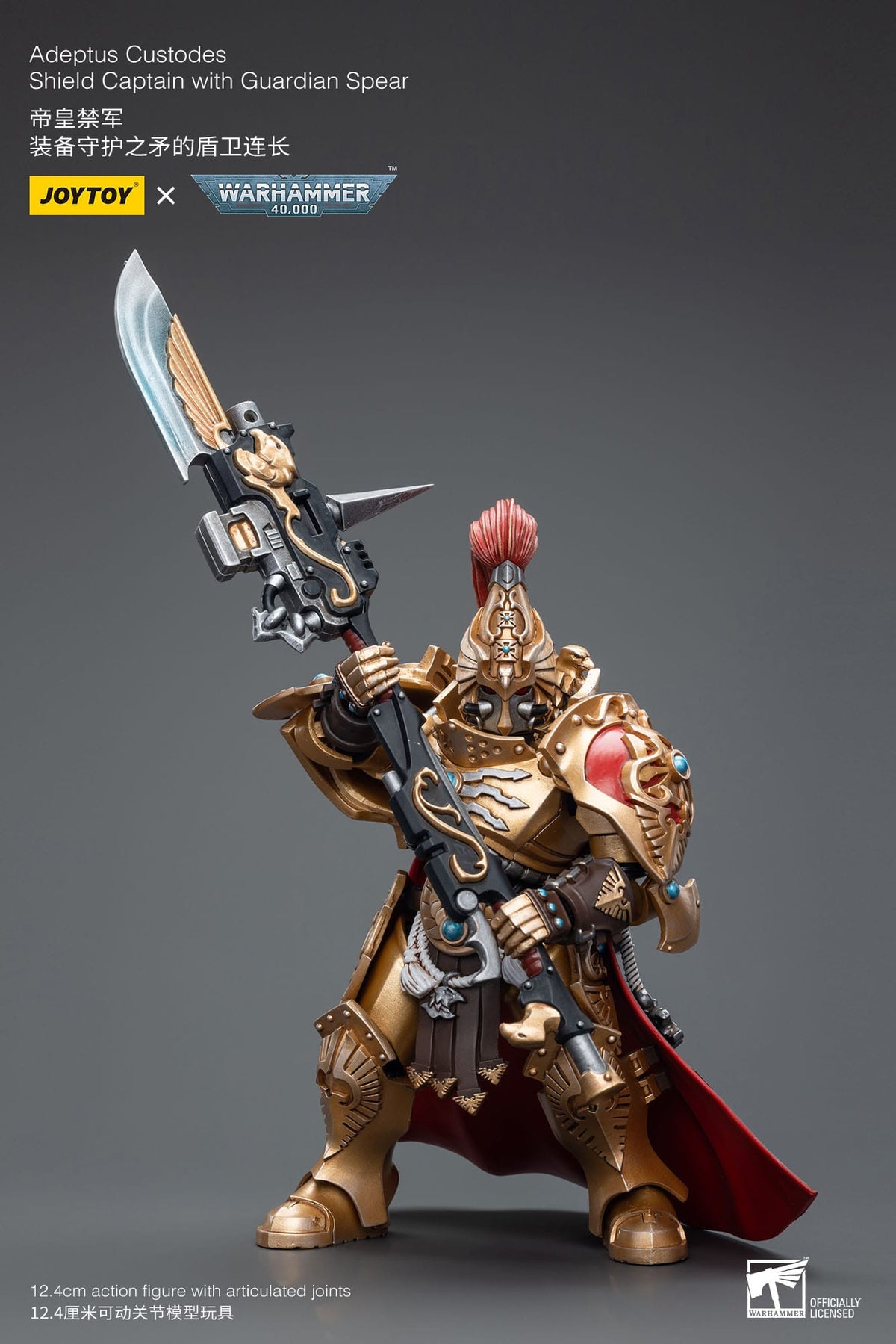 Warhammer 40K Custodes Female Character in Minimal Armor | Stable Warhammer 40K Custodes Female Character in Minimal Armor | Stable
