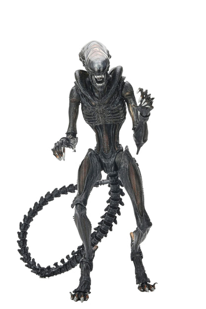 Alien: Romulus Ultimate Scorched Xenomorph