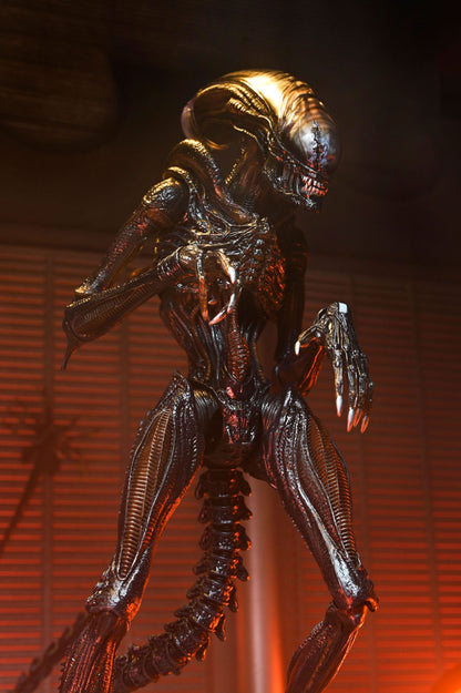 Alien: Romulus Ultimate Scorched Xenomorph