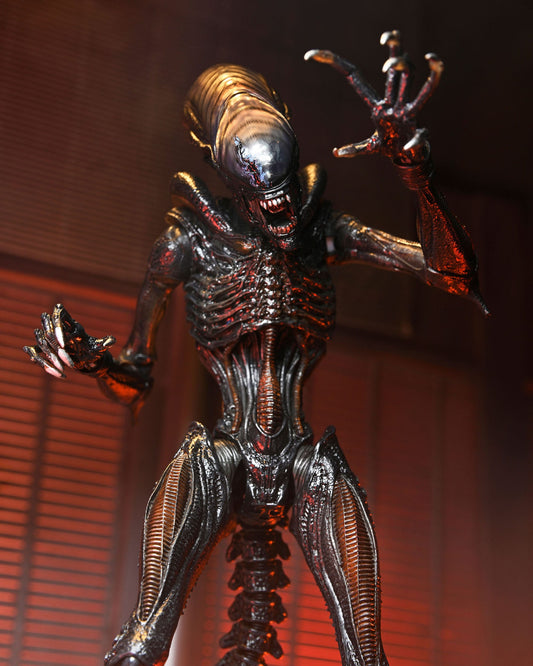 Alien: Romulus Ultimate Scorched Xenomorph