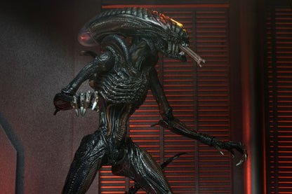 Alien: Romulus Ultimate Scorched Xenomorph