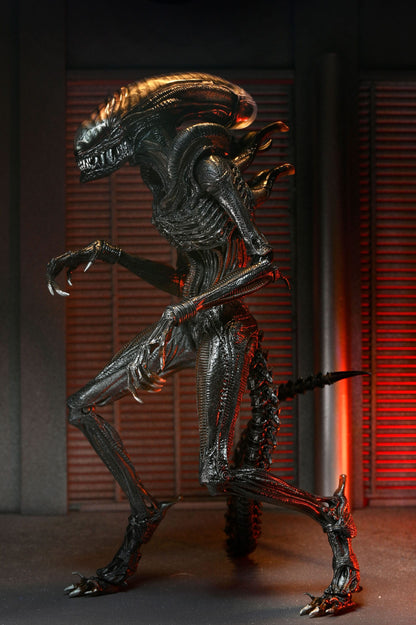 Alien: Romulus Ultimate Scorched Xenomorph