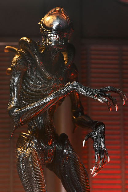 Alien: Romulus Ultimate Scorched Xenomorph