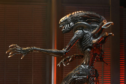 Alien: Romulus Ultimate Scorched Xenomorph