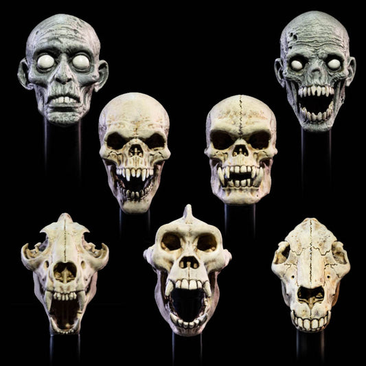 Mythic Legions - UNDEAD HEADS PACK