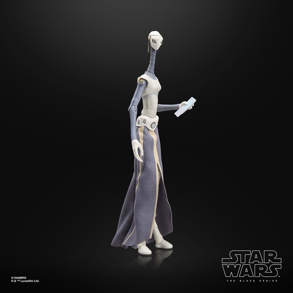 Star Wars Black Series Taun We