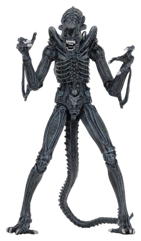 Aliens Ultimate Actionfigur Warrior (1986) Blue 23 cm, ECA, EAN: 634482516478