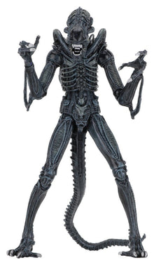 Aliens Ultimate Actionfigur Warrior (1986) Blue 23 cm, ECA, EAN: 634482516478
