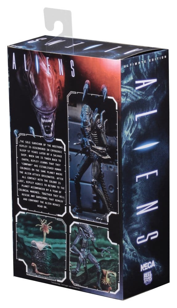 Aliens Ultimate Actionfigur Warrior (1986) Blue 23 cm, ECA, EAN: 634482516478