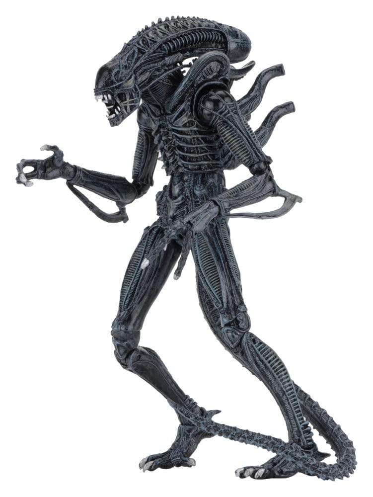 Aliens Ultimate Actionfigur Warrior (1986) Blue 23 cm, ECA, EAN: 634482516478