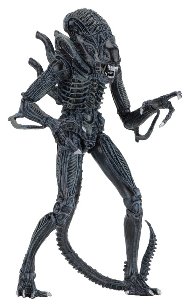 Aliens Ultimate Actionfigur Warrior (1986) Blue 23 cm, ECA, EAN: 634482516478