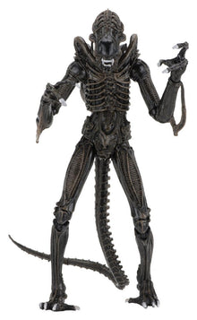 Aliens Ultimate Actionfigur Warrior (1986) Brown 23 cm, NECA, EAN: 634482516836