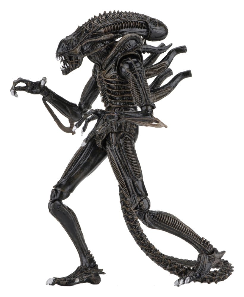 Aliens Ultimate Actionfigur Warrior (1986) Brown 23 cm, NECA, EAN: 634482516836