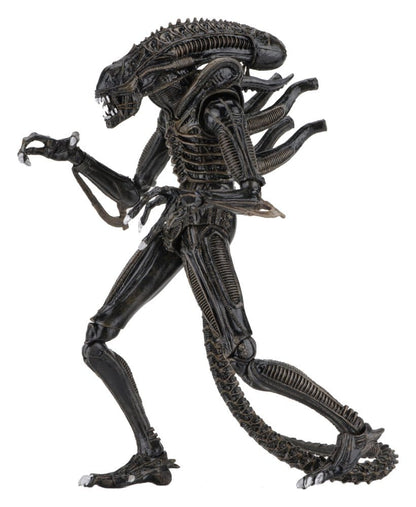 Aliens Ultimate Actionfigur Warrior (1986) Brown 23 cm, NECA, EAN: 634482516836