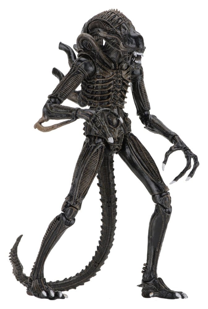 Aliens Ultimate Actionfigur Warrior (1986) Brown 23 cm, NECA, EAN: 634482516836