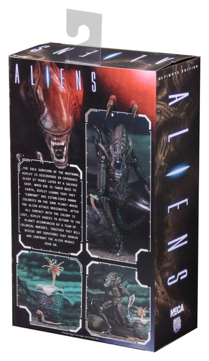 Aliens Ultimate Actionfigur Warrior (1986) Brown 23 cm, NECA, EAN: 634482516836