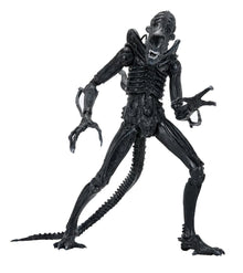 Aliens Ultimate Warrior (1986) Xenomorph Black (40th Anniversary), NECA, EAN: 634482517963