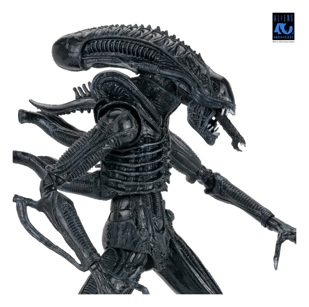 Aliens Ultimate Warrior (1986) Xenomorph Black (40th Anniversary), NECA, EAN: 634482517963