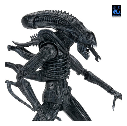 Aliens Ultimate Warrior (1986) Xenomorph Black (40th Anniversary), NECA, EAN: 634482517963