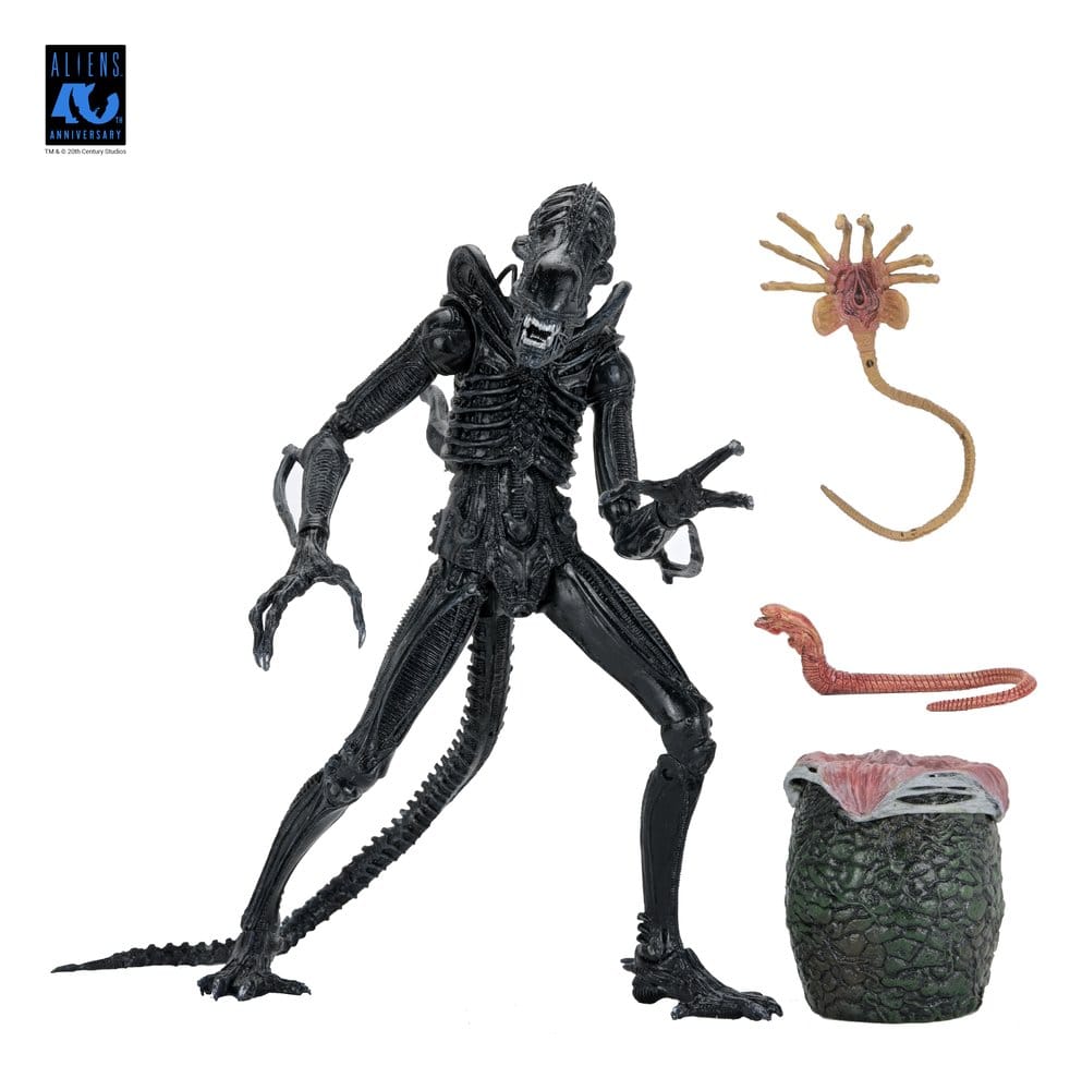Aliens Ultimate Warrior (1986) Xenomorph Black (40th Anniversary), NECA, EAN: 634482517963