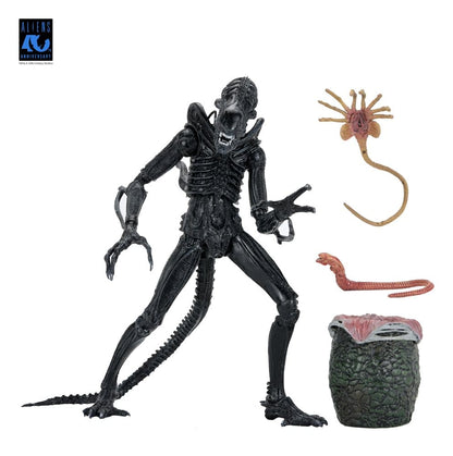 Aliens Ultimate Warrior (1986) Xenomorph Black (40th Anniversary), NECA, EAN: 634482517963