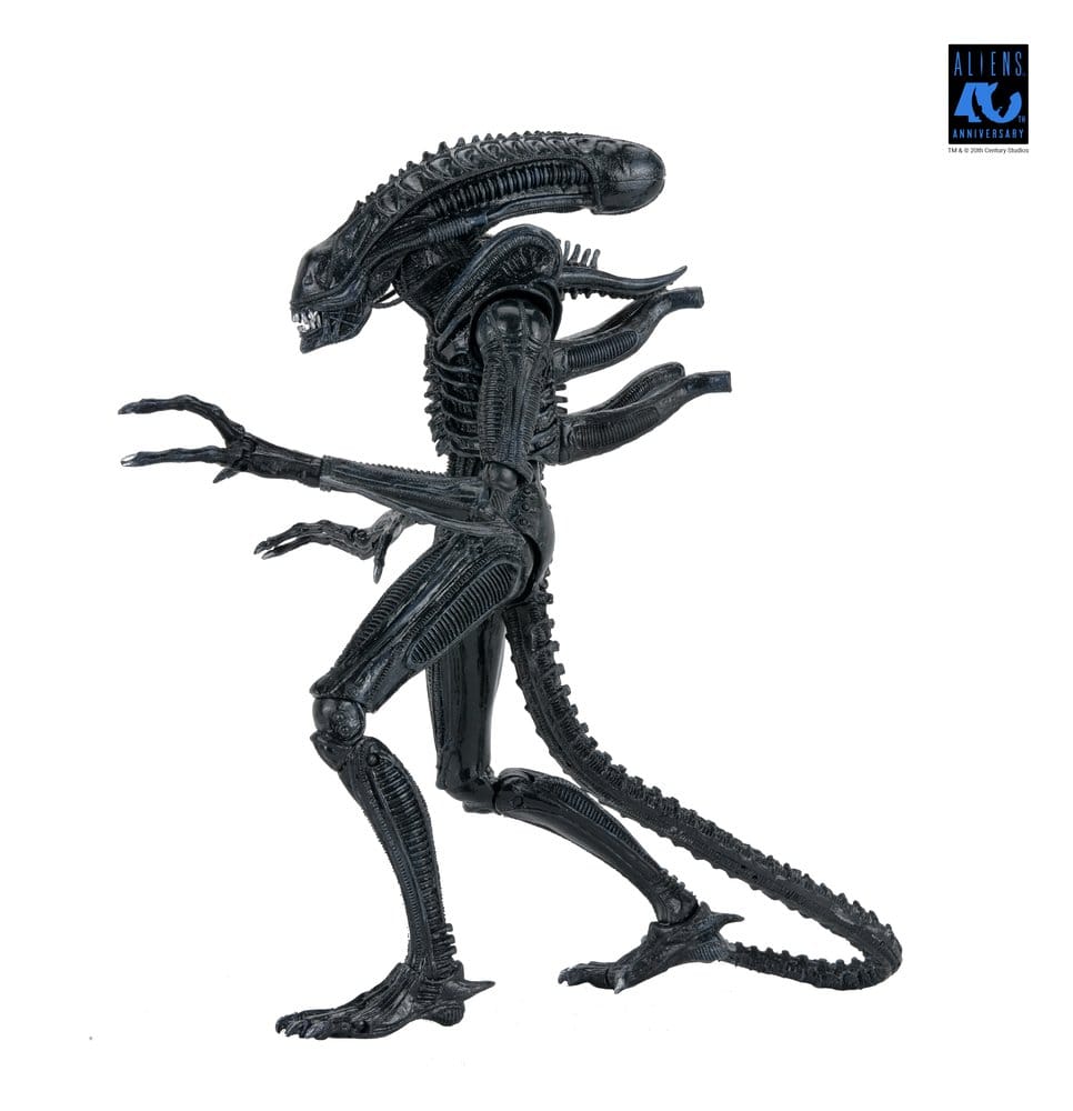 Aliens Ultimate Warrior (1986) Xenomorph Black (40th Anniversary), NECA, EAN: 634482517963