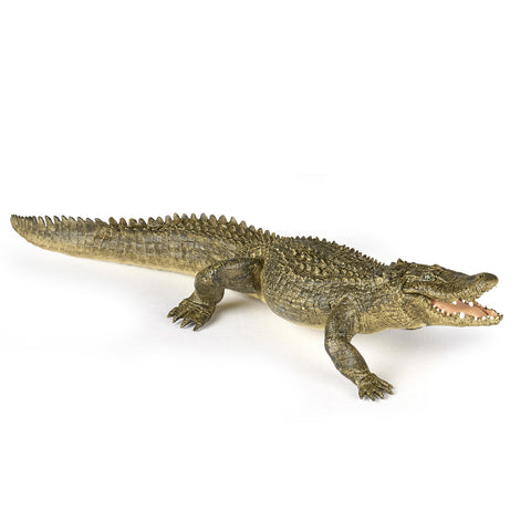 Alligator - 50254