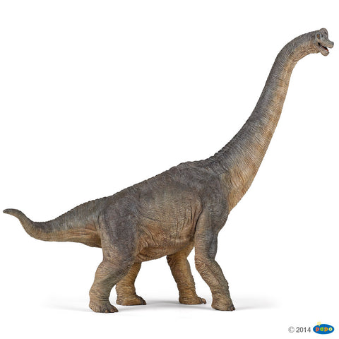 Brachiosaurus Papo 55030 Dinosaurier Figur