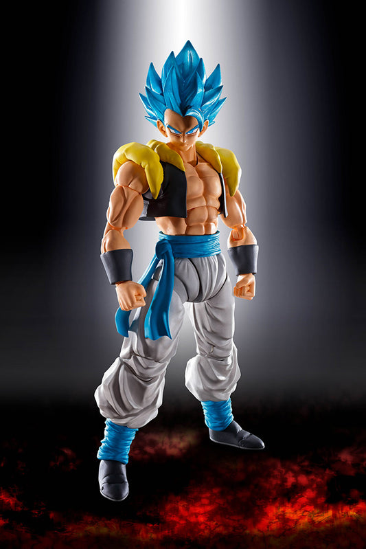 Dragon Ball Super Saiyan God Gogeta