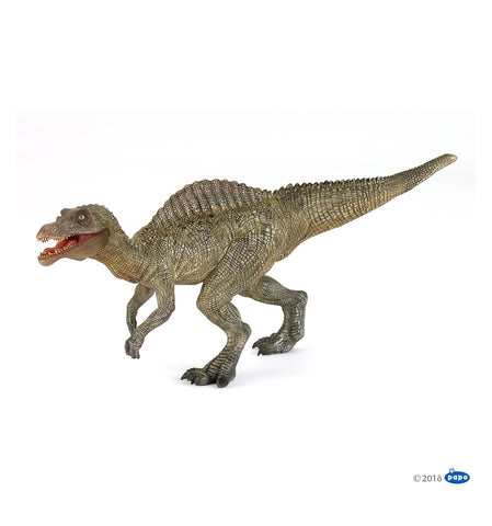 Junger Spinosaurus - 55065