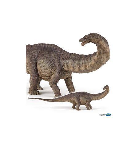 Papo 55039 Apatosaurus Dinosaurier