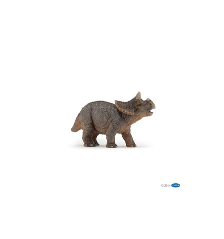 Baby Triceratops Papo 55036 Dinosaurier