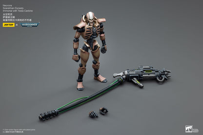 Warhammer 2er-Pack Necrons Szarekhan Dynasty Immortal with Gauss Blaster